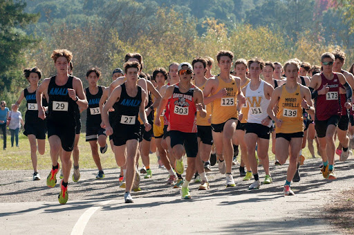 The start of the Varsity Boys Race at the North Bay League Championships on November 9th. Photo Credit: Lawson Gaylord.
