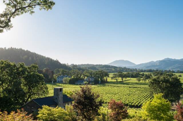 The Heart of Napa Valley: St Helena