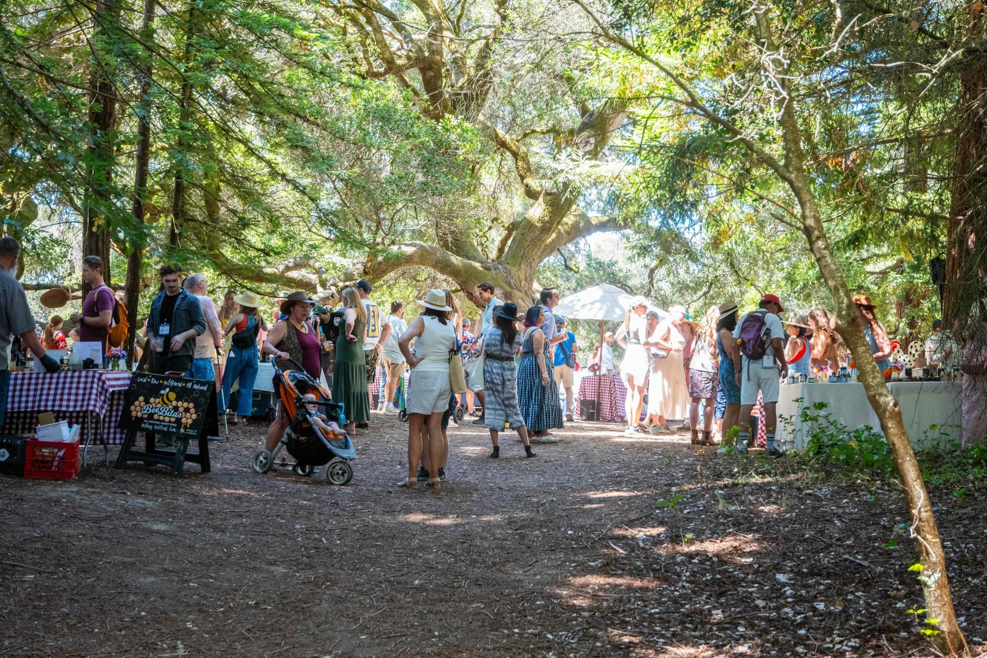 The Artisan Tasting Grove at the 2025 Gravenstein Apple Fair.