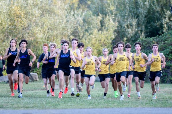 Analy's Varsity Boys Cross Country team at the start of a race.