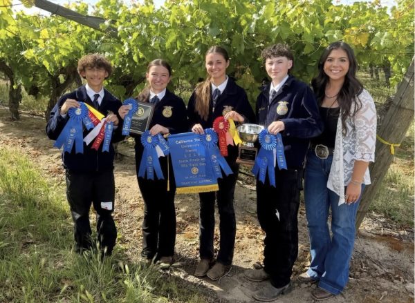 2026 State Champion Grapevine Judging Team!